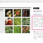 theme-description-3